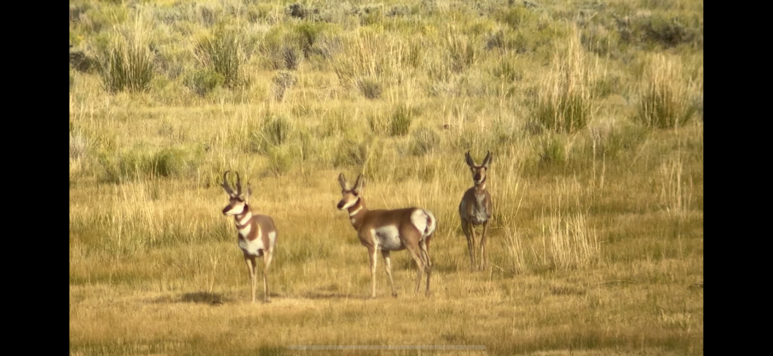 IMG_4541.png IMG_4541.png