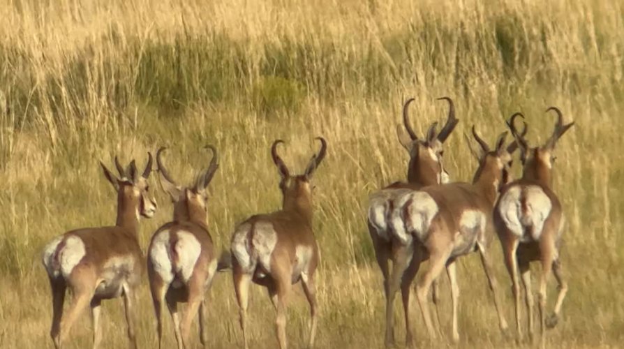 IMG_4544.jpeg IMG_4544.jpeg