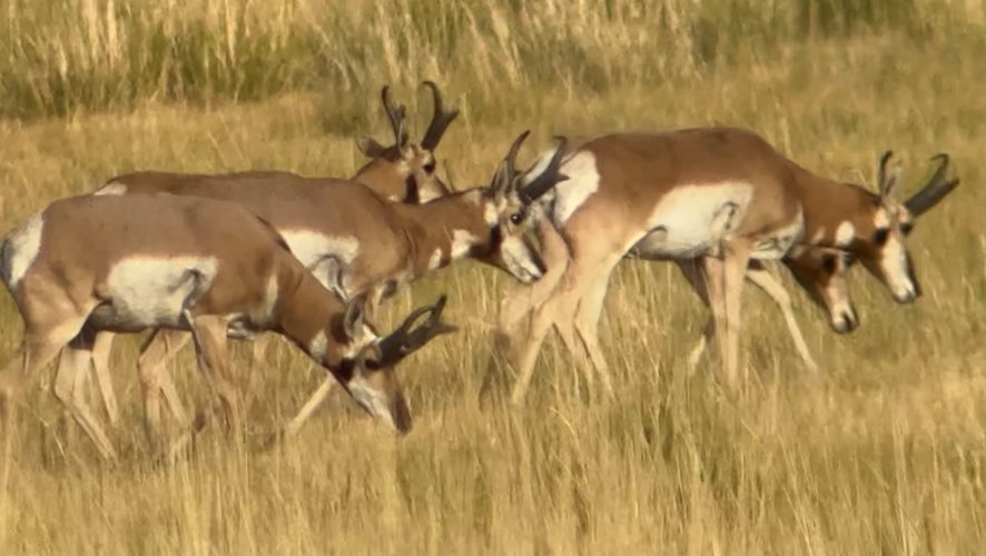 IMG_4543.jpeg IMG_4543.jpeg