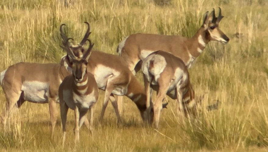 IMG_4542.jpeg IMG_4542.jpeg