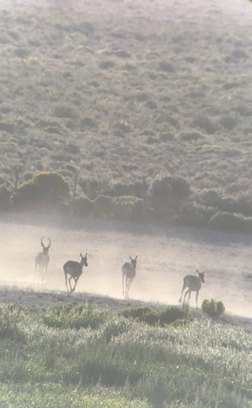 IMG_4548.jpeg IMG_4548.jpeg