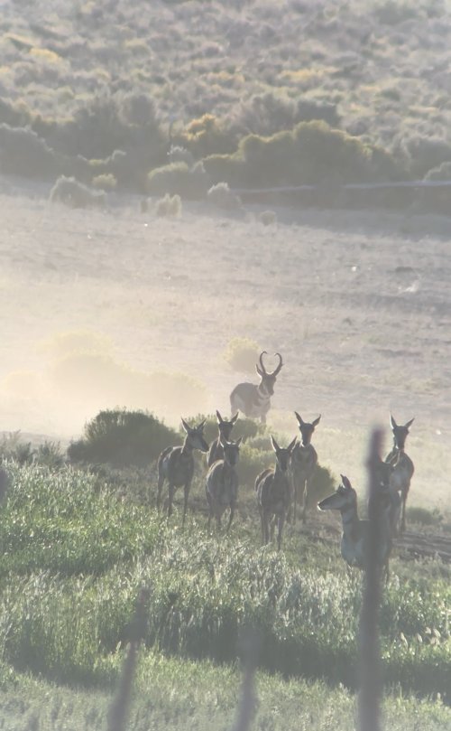 IMG_4549.jpeg IMG_4549.jpeg