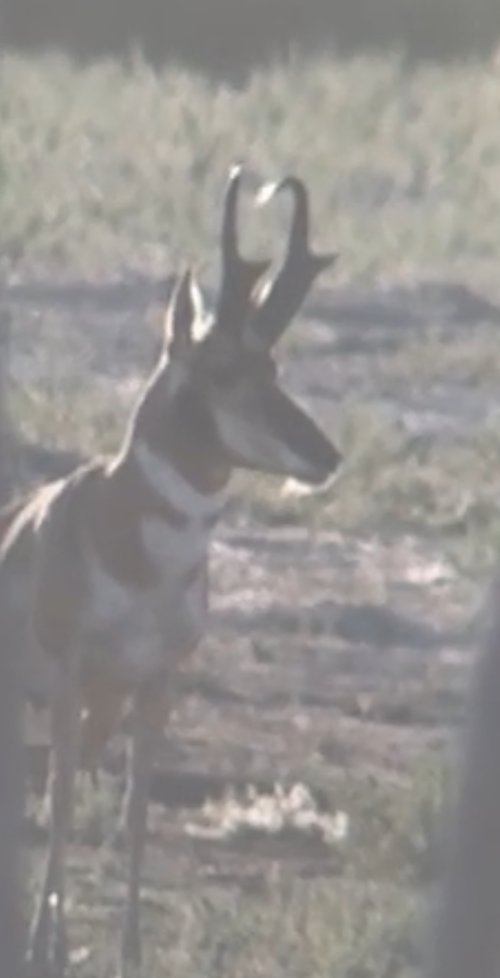 IMG_4550.jpeg IMG_4550.jpeg