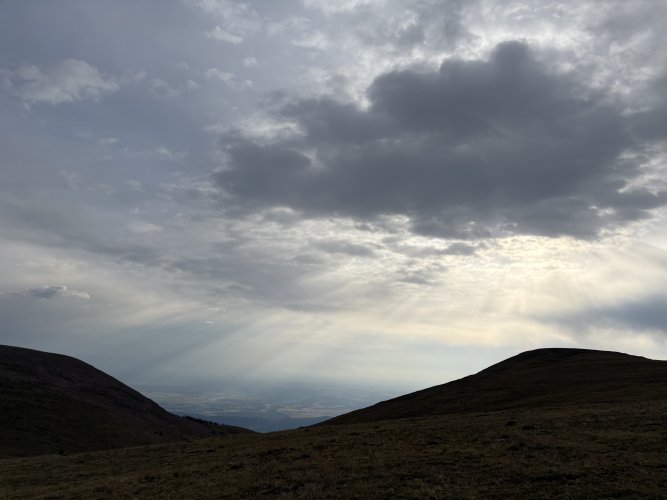 IMG_2031.jpeg IMG_2031.jpeg