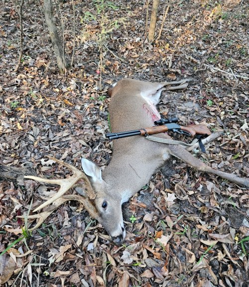 Screenshot_20250811_085329_Gallery.jpg Screenshot_20250811_085329_Gallery.jpg