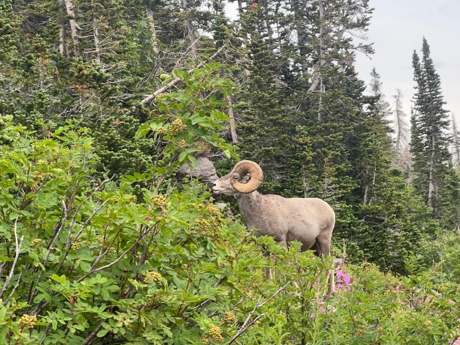 IMG_2003.jpeg IMG_2003.jpeg