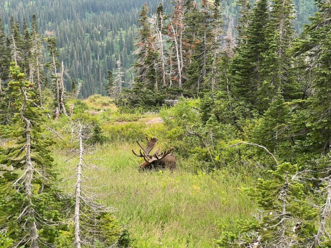 IMG_1995.jpeg IMG_1995.jpeg