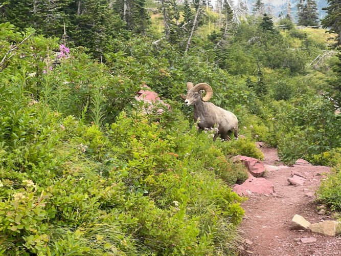 IMG_2002.jpeg IMG_2002.jpeg