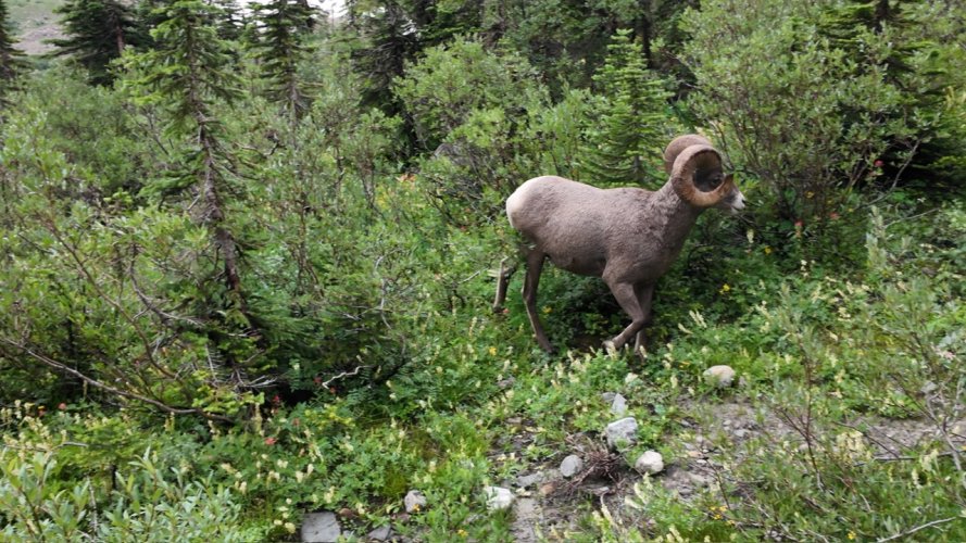 dji_export_20250808_photo_0011.jpeg dji_export_20250808_photo_0011.jpeg