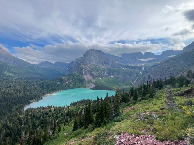 IMG_2007.jpeg IMG_2007.jpeg