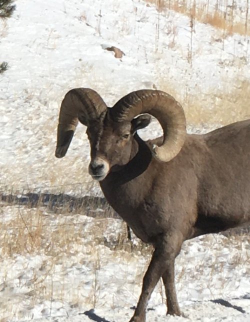 IMG_1026.jpeg IMG_1026.jpeg