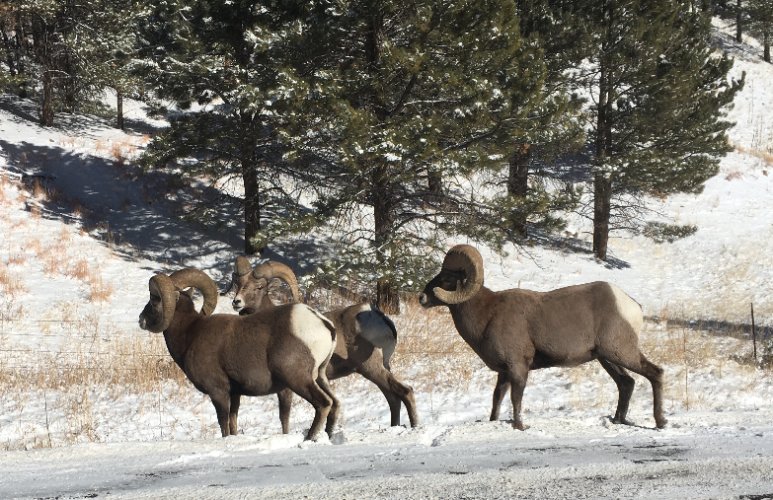 IMG_1025.jpeg IMG_1025.jpeg