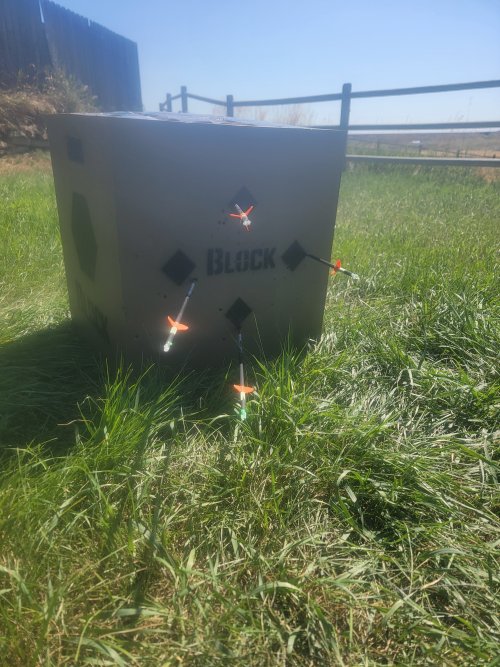 20250812_112729.jpg 20250812_112729.jpg