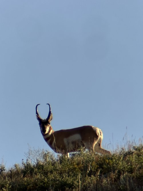 IMG_1593.jpeg
