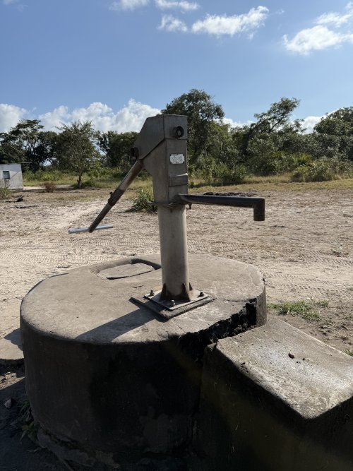 IMG_7312.jpeg IMG_7312.jpeg