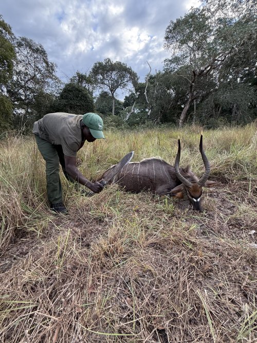 IMG_7516.jpeg IMG_7516.jpeg