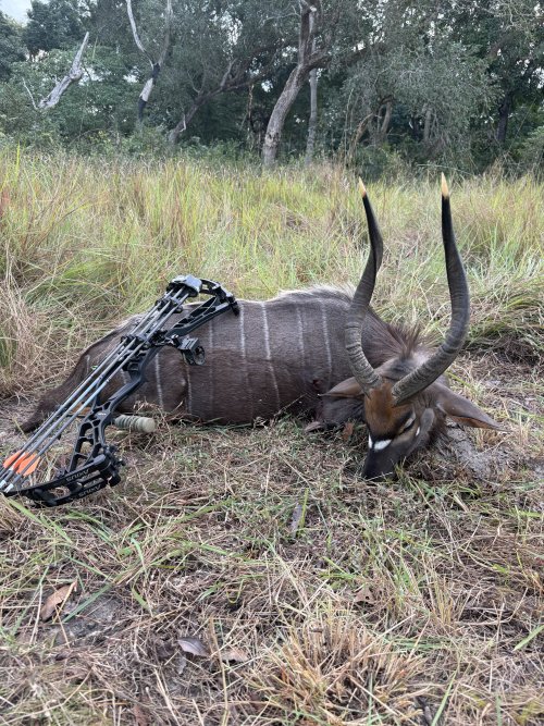 IMG_7523.jpeg IMG_7523.jpeg