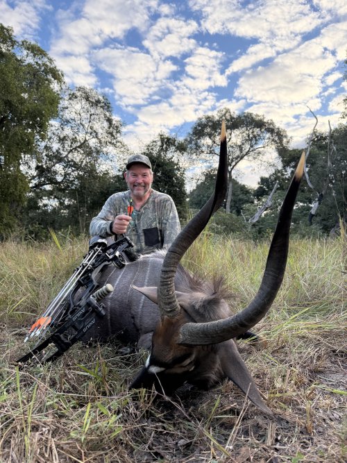 IMG_1557.jpeg IMG_1557.jpeg