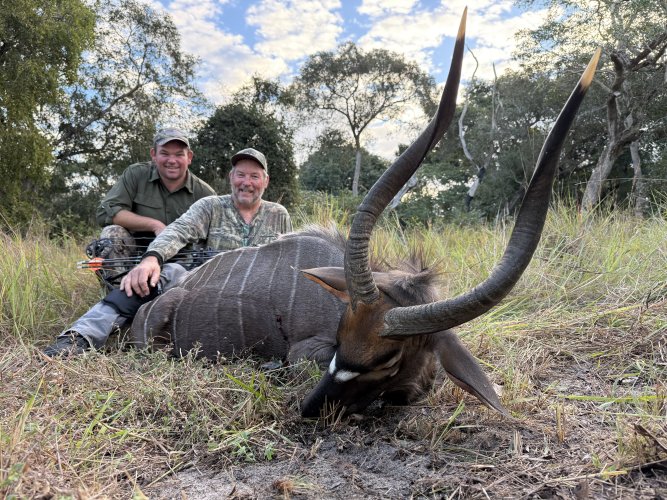 IMG_1597.jpeg IMG_1597.jpeg