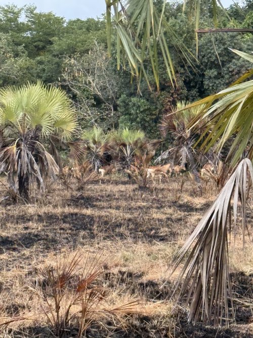 IMG_7627.jpeg IMG_7627.jpeg