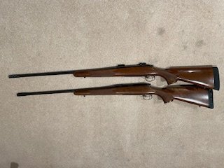 Both rifles.jpg
