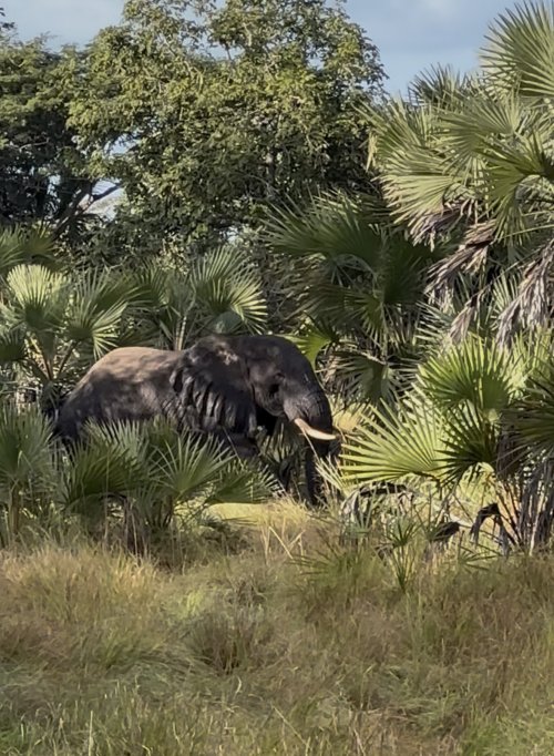 IMG_8646.jpeg IMG_8646.jpeg