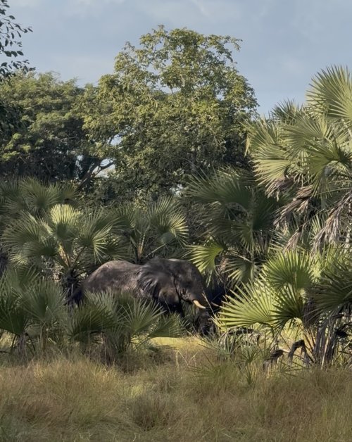 IMG_8645.jpeg IMG_8645.jpeg