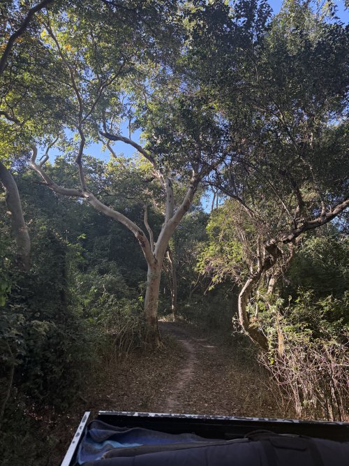 IMG_7961.jpeg IMG_7961.jpeg