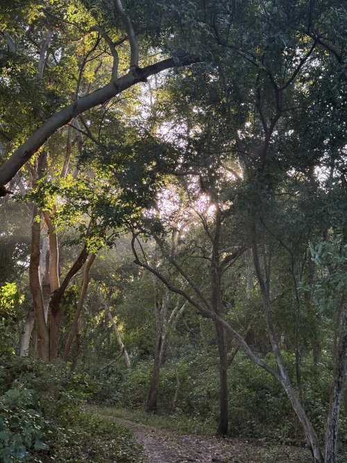 IMG_7919.jpeg IMG_7919.jpeg