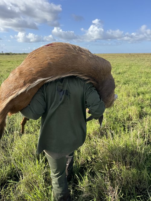 IMG_1610.jpeg IMG_1610.jpeg