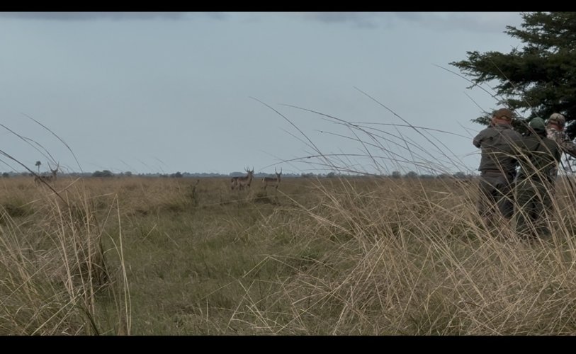 IMG_8661.jpeg IMG_8661.jpeg