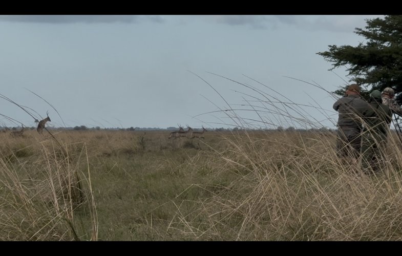 IMG_8660.jpeg IMG_8660.jpeg