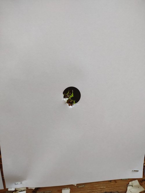 7mm Rem Mag 150 ELD-X.jpg