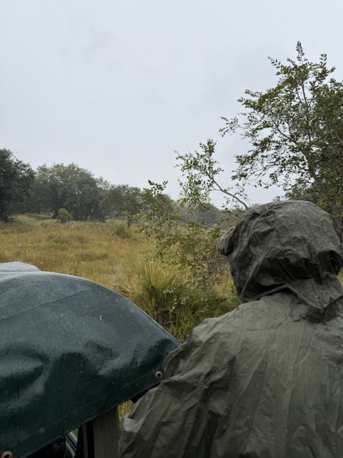 IMG_7637.jpeg IMG_7637.jpeg