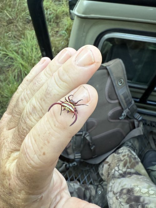 IMG_7938.jpeg IMG_7938.jpeg