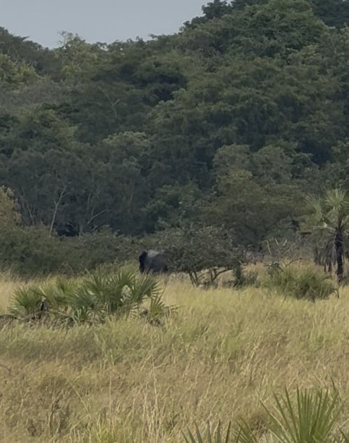 IMG_8663.jpeg IMG_8663.jpeg