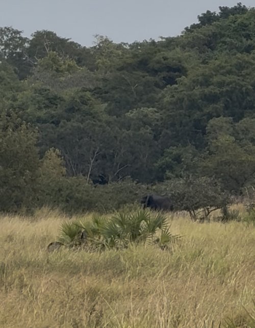 IMG_8662.jpeg IMG_8662.jpeg