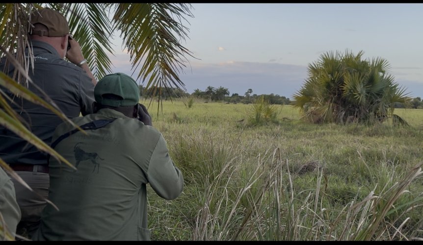 IMG_8658.jpeg IMG_8658.jpeg