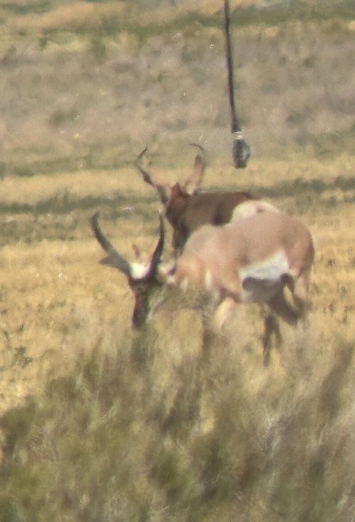 IMG_4800.jpeg IMG_4800.jpeg