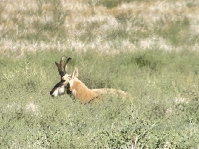 IMG_4759.jpeg IMG_4759.jpeg