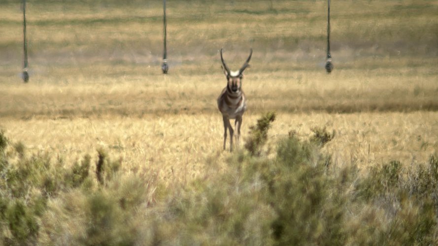 IMG_4690.jpeg IMG_4690.jpeg