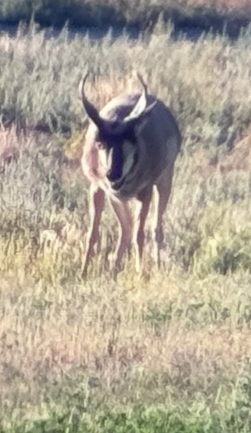 IMG_4605.jpeg IMG_4605.jpeg