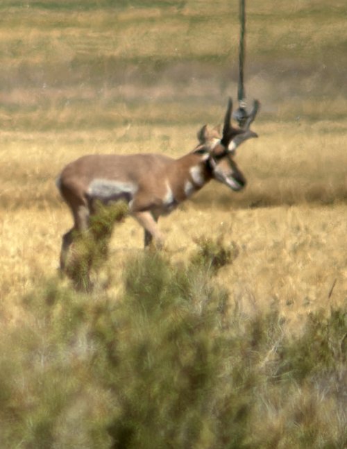 IMG_4716.jpeg IMG_4716.jpeg