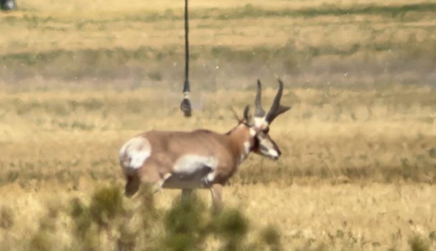 IMG_4718.jpeg IMG_4718.jpeg