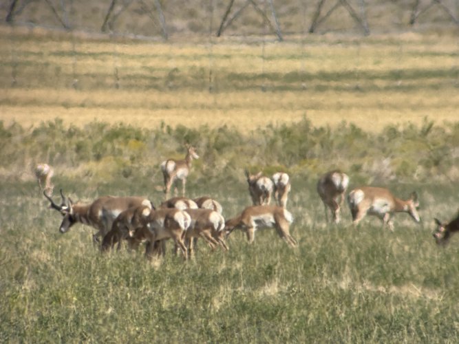 IMG_4643.jpeg IMG_4643.jpeg