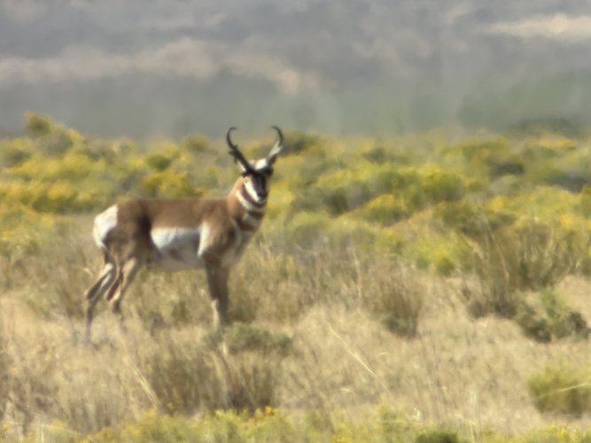 IMG_4630.jpeg IMG_4630.jpeg