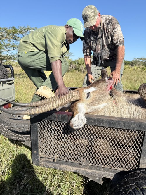 IMG_8019.jpeg IMG_8019.jpeg