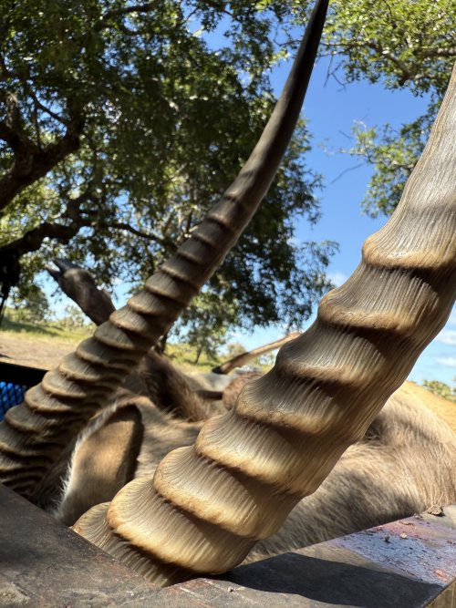 IMG_8140.jpeg IMG_8140.jpeg