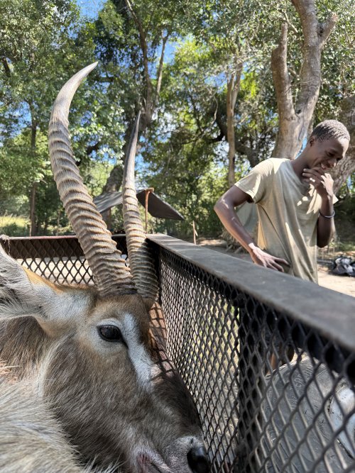 IMG_8145.jpeg IMG_8145.jpeg