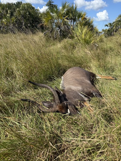 IMG_8194.jpeg IMG_8194.jpeg